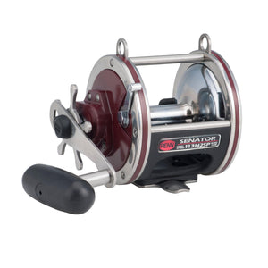 PENN Special Senator Star Drag Conventional Reel